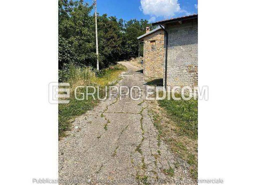 immagine annuncio 11 di 14