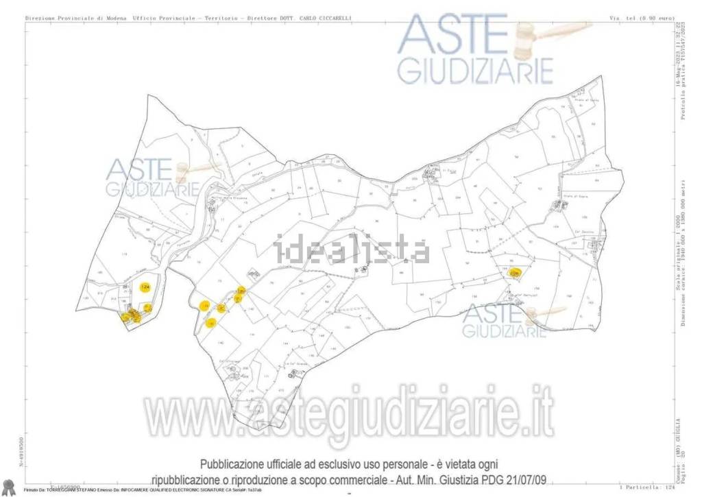 immagine annuncio 11 di 15