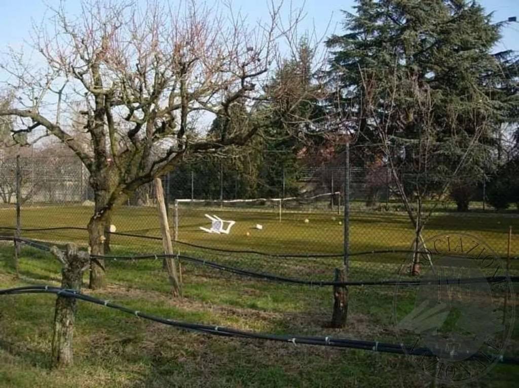 immagine annuncio 2 di 12