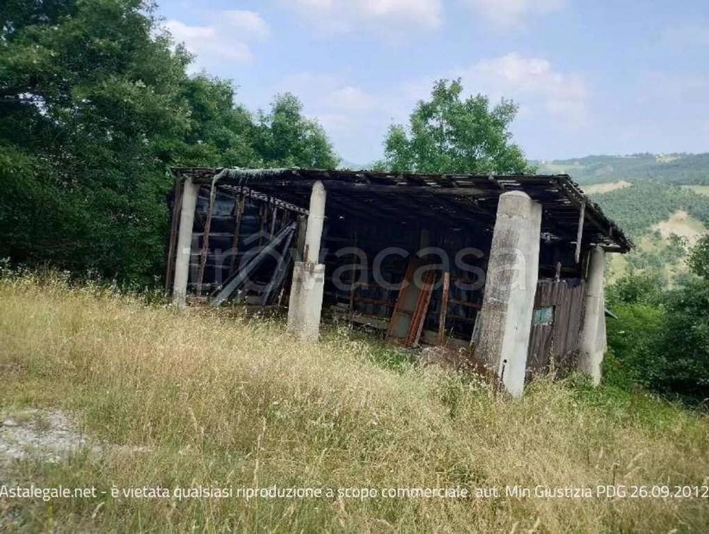 immagine annuncio 6 di 7