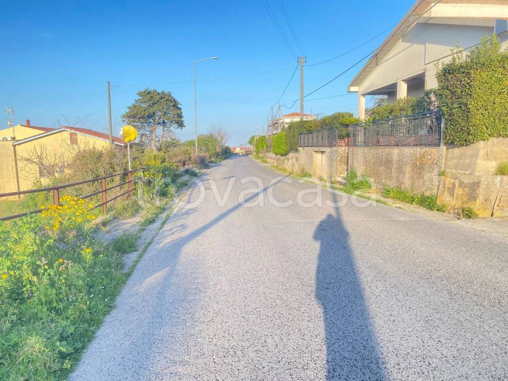 immagine annuncio 3 di 4