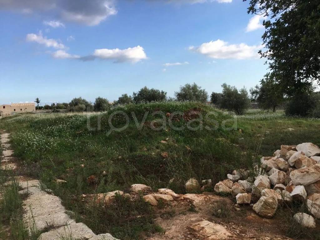 immagine annuncio 5 di 9