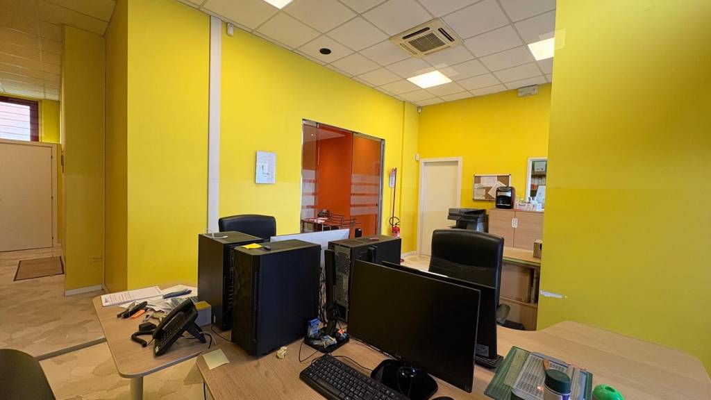 immagine annuncio 9 di 15