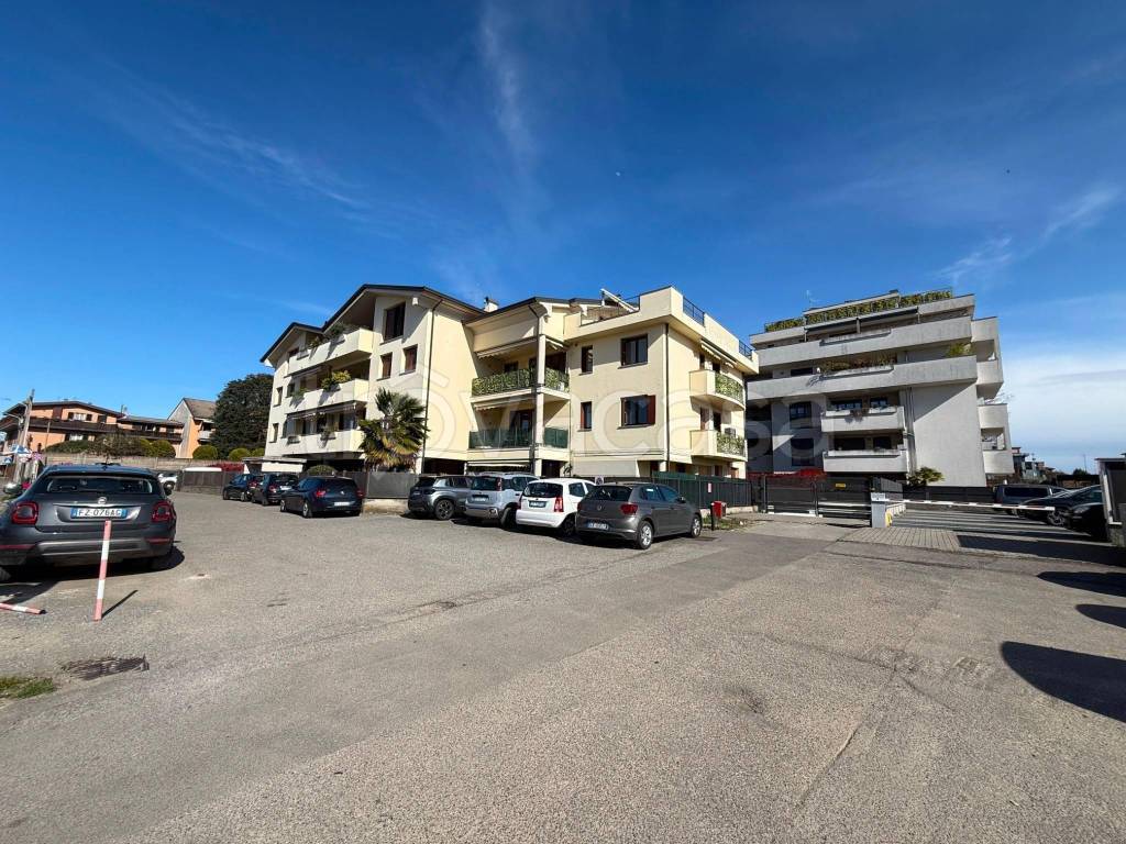 immagine annuncio 10 di 15