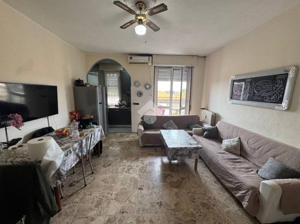 immagine annuncio 1 di 14