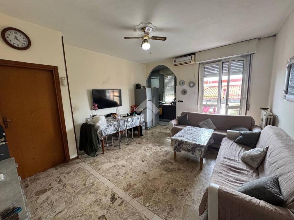 immagine annuncio 3 di 14