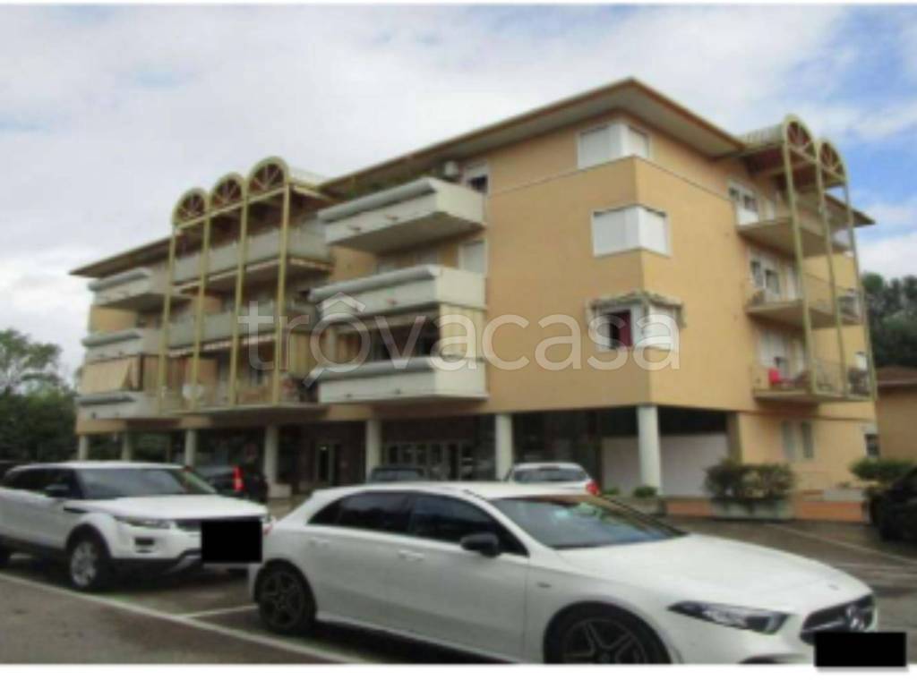 immagine annuncio 1 di 12