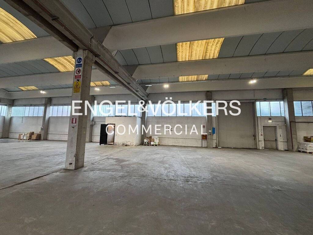 immagine annuncio 4 di 12