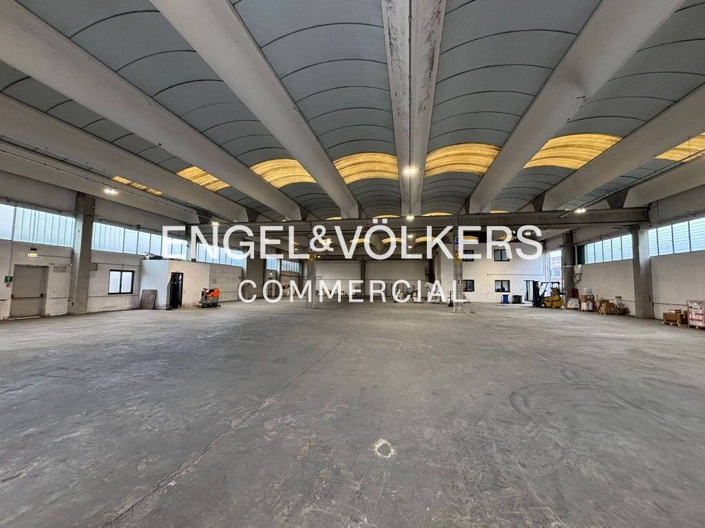 immagine annuncio 1 di 12