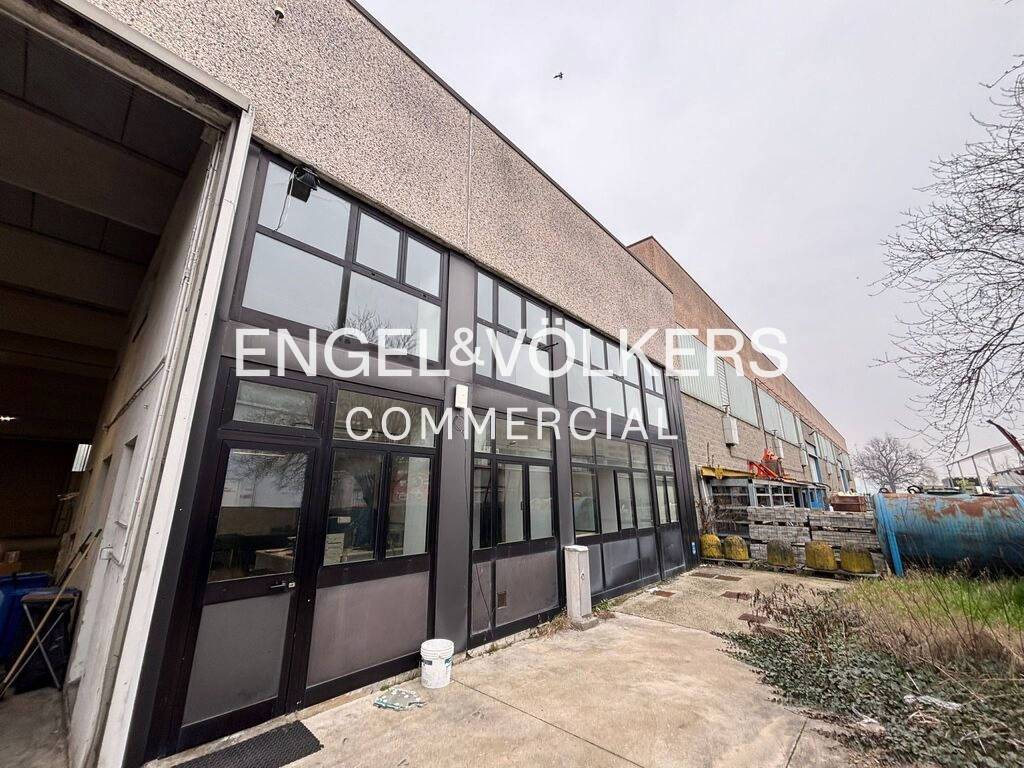 immagine annuncio 2 di 12