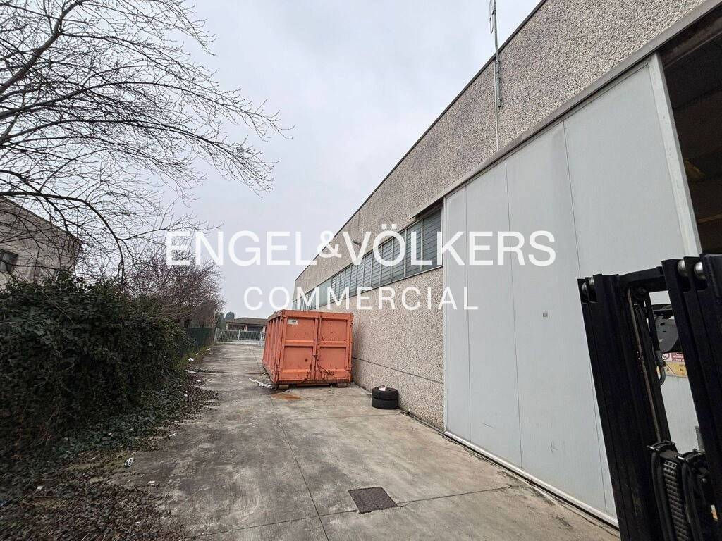 immagine annuncio 9 di 12