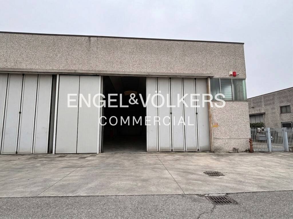 immagine annuncio 10 di 12