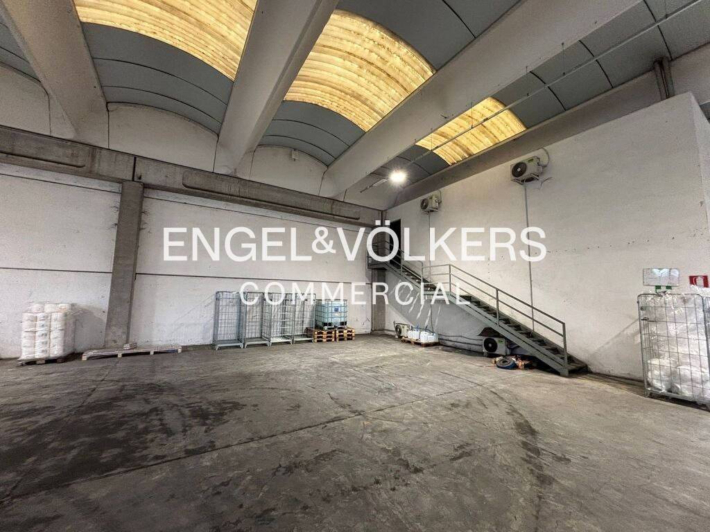 immagine annuncio 5 di 12