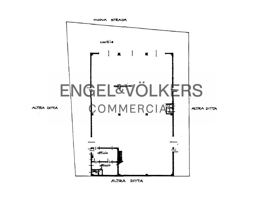immagine annuncio 11 di 12