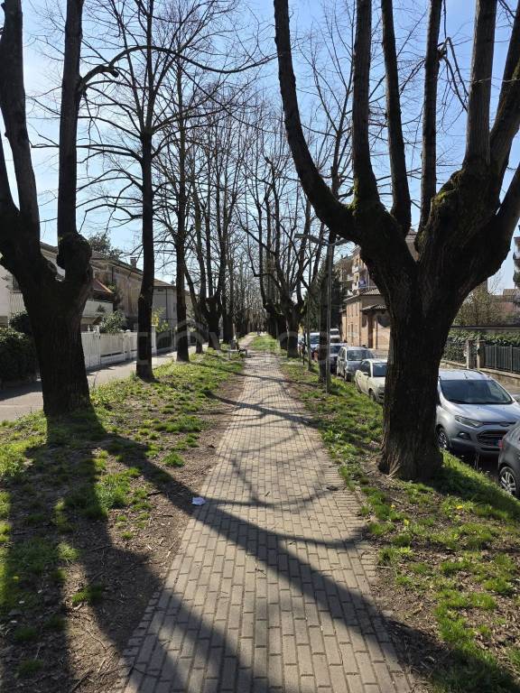 immagine annuncio 9 di 11