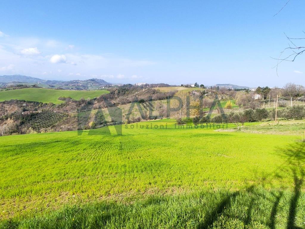 immagine annuncio 5 di 6