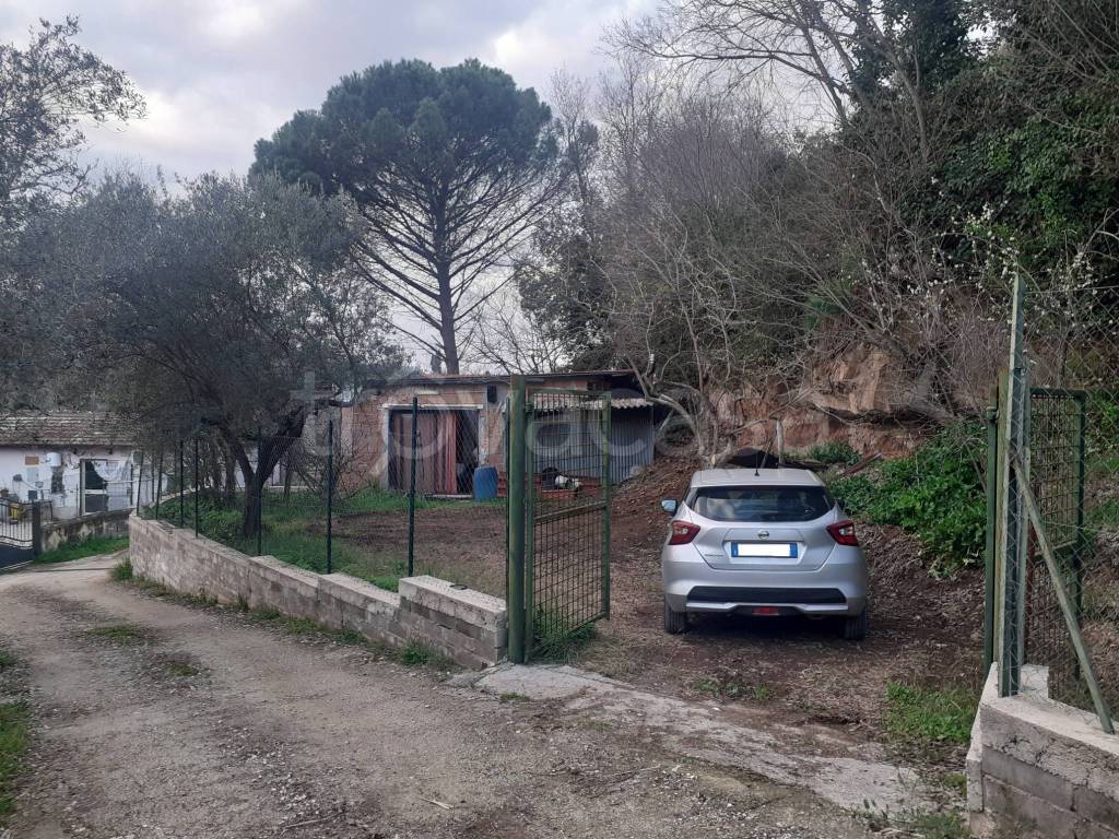 immagine annuncio 2 di 13