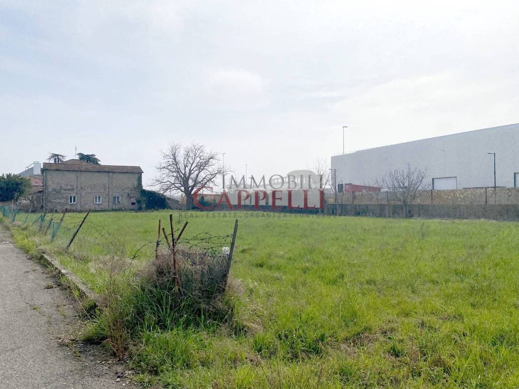 immagine annuncio 1 di 4