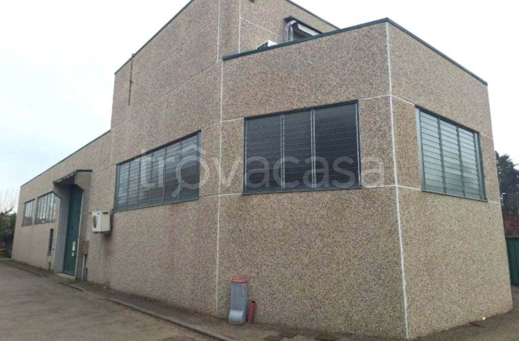 immagine annuncio 1 di 11