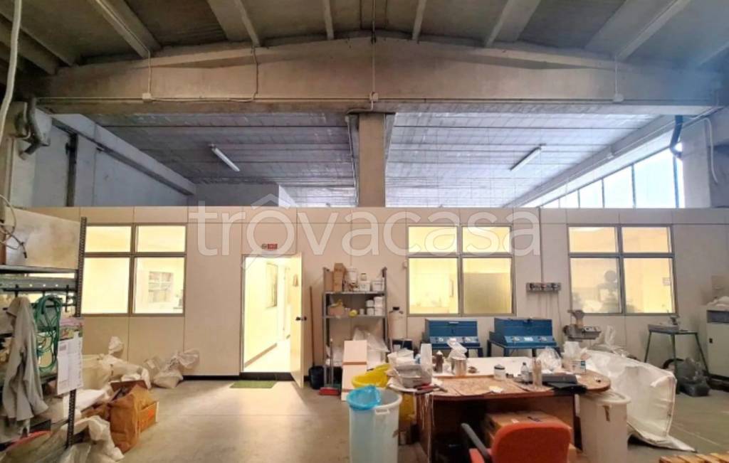 immagine annuncio 7 di 11