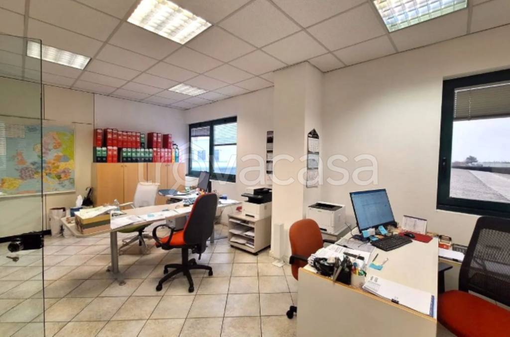 immagine annuncio 9 di 11