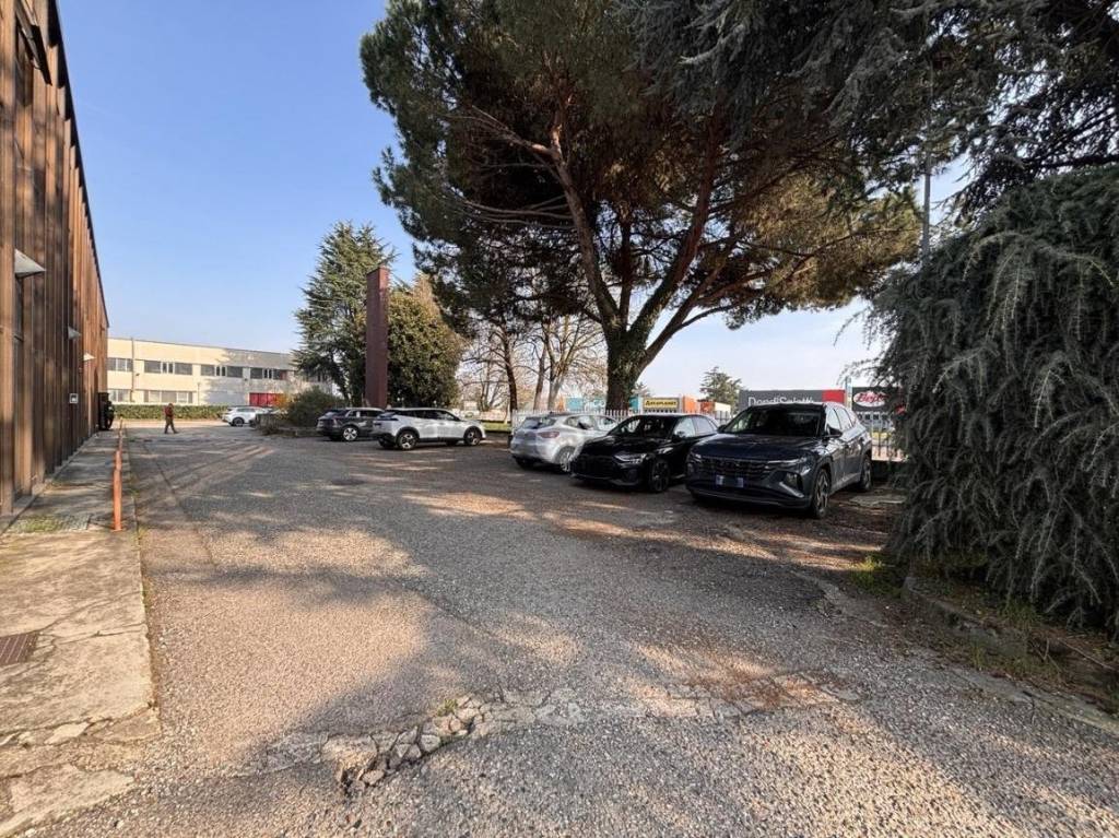 immagine annuncio 6 di 15