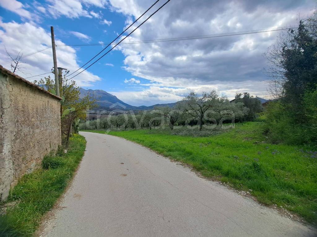 immagine annuncio 4 di 11