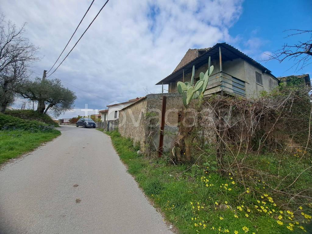 immagine annuncio 6 di 11