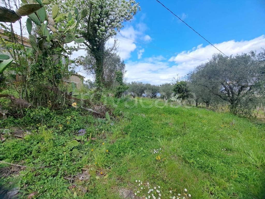 immagine annuncio 8 di 11