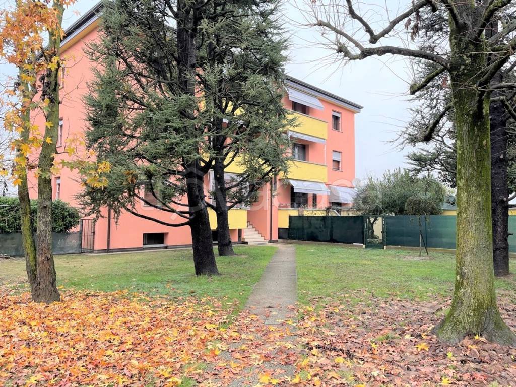 immagine annuncio 7 di 12