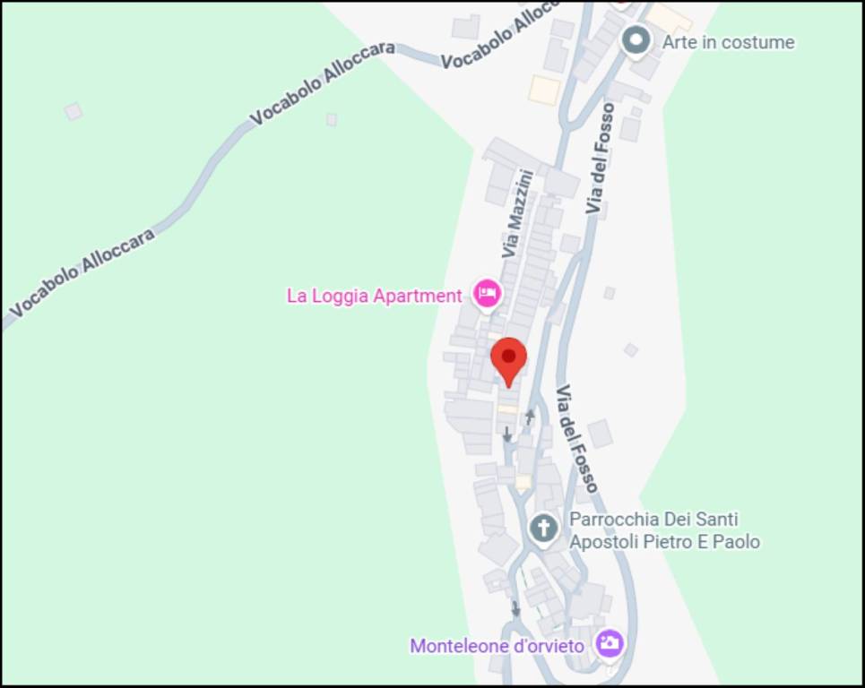 immagine annuncio 9 di 12