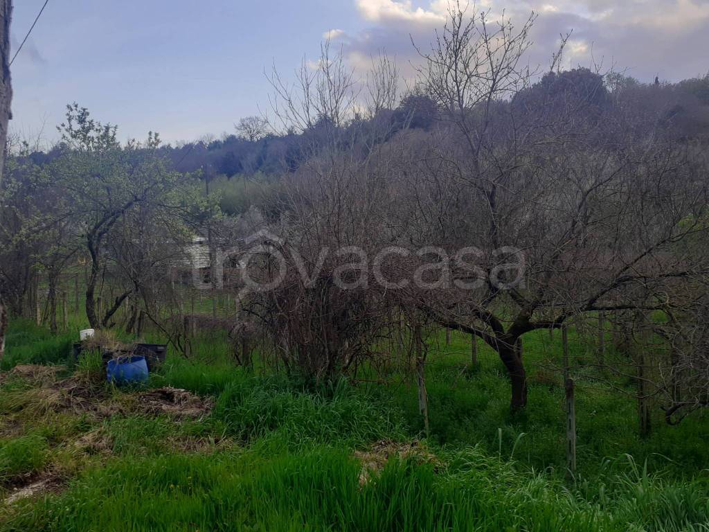 immagine annuncio 3 di 6