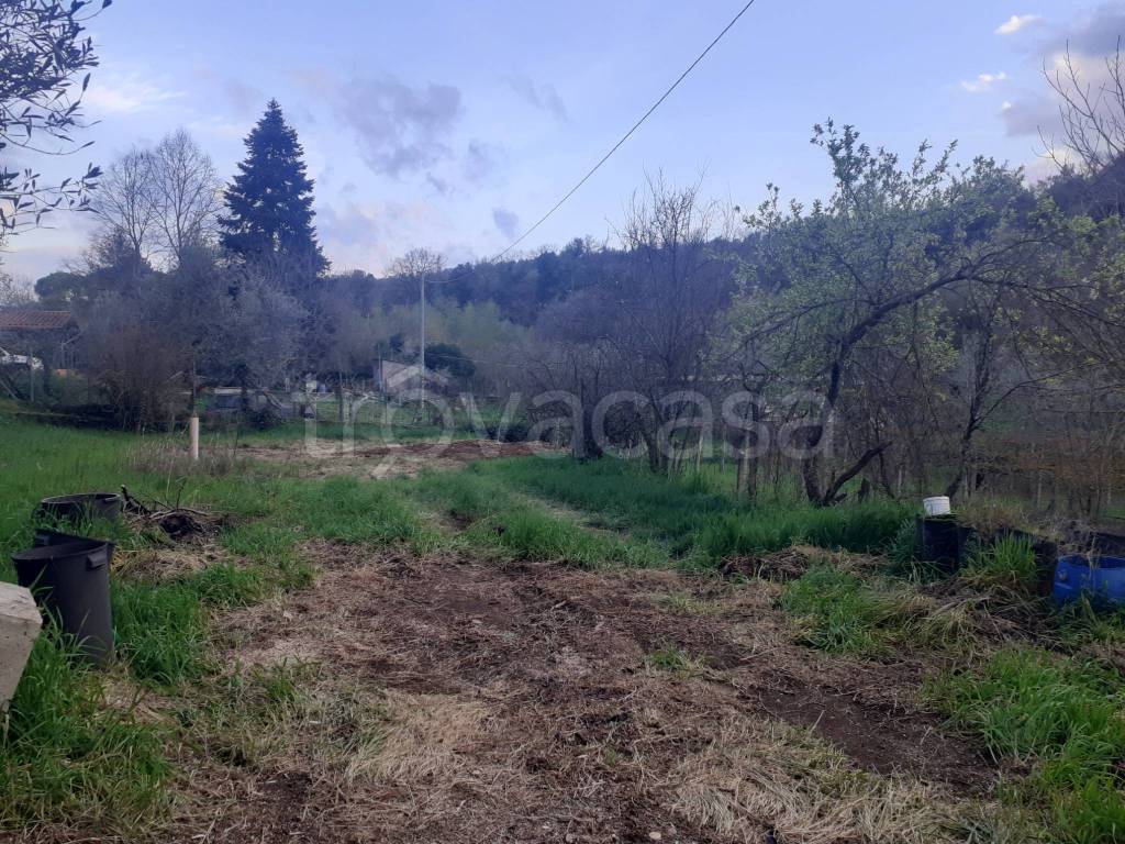 immagine annuncio 4 di 6