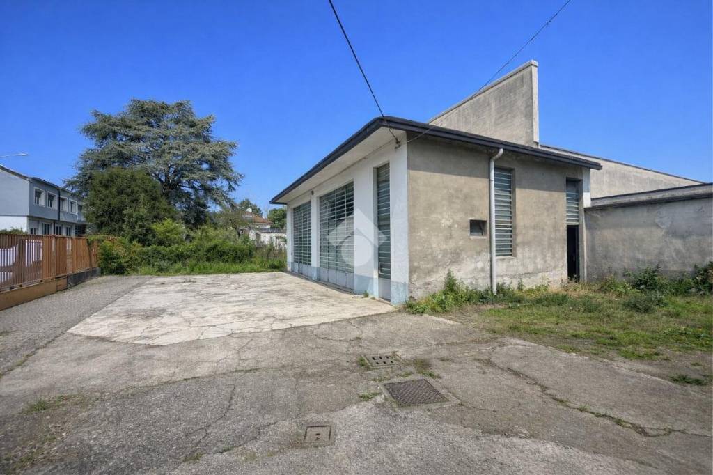 immagine annuncio 5 di 15