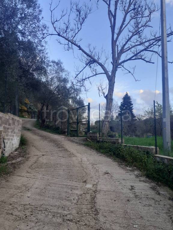 immagine annuncio 5 di 6