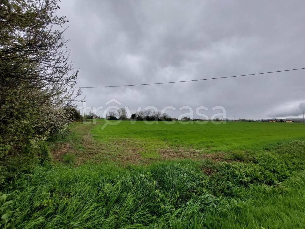 immagine annuncio 2 di 7