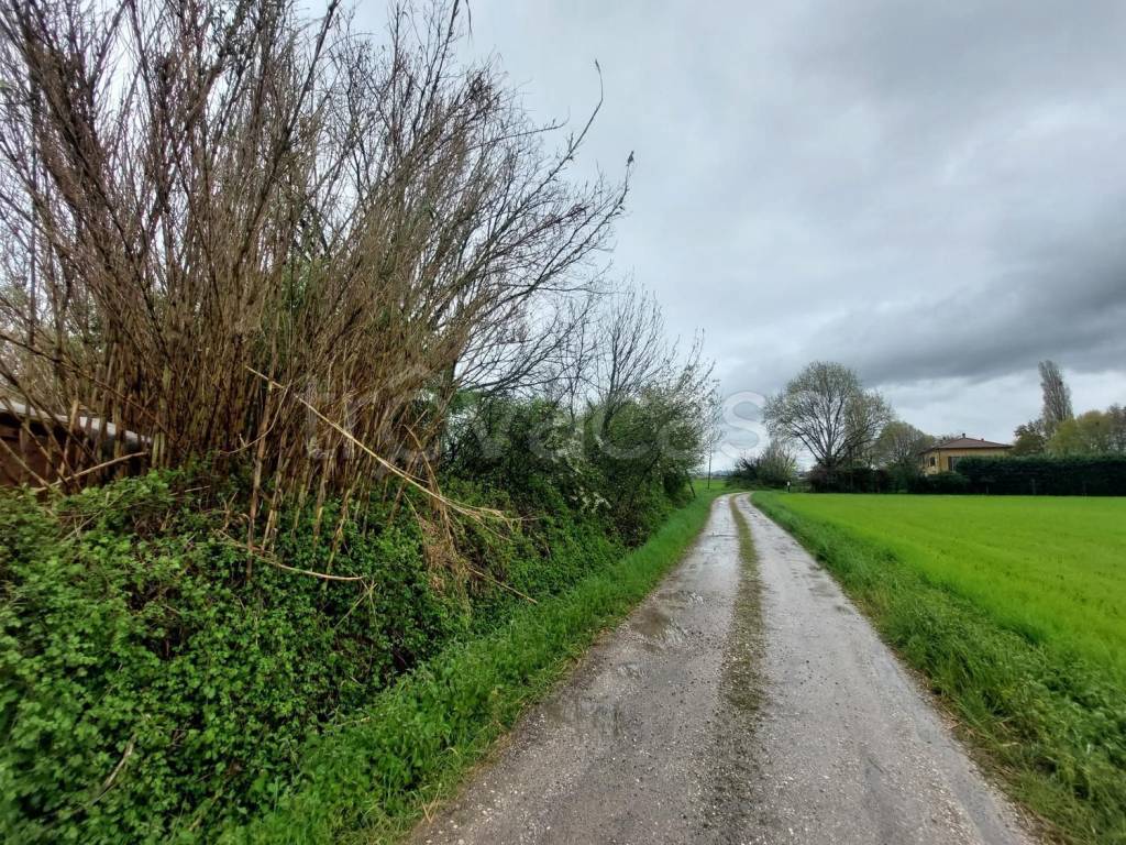 immagine annuncio 4 di 7