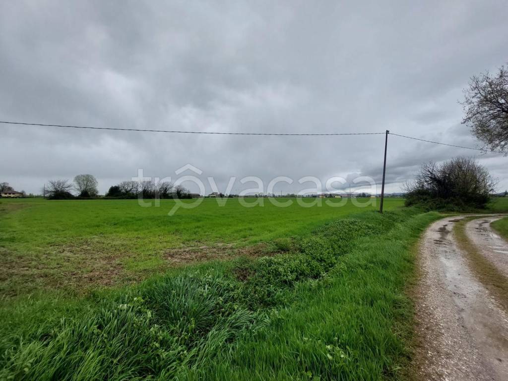 immagine annuncio 5 di 7