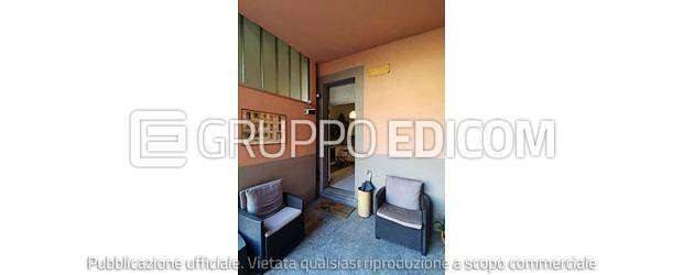 immagine annuncio 7 di 13