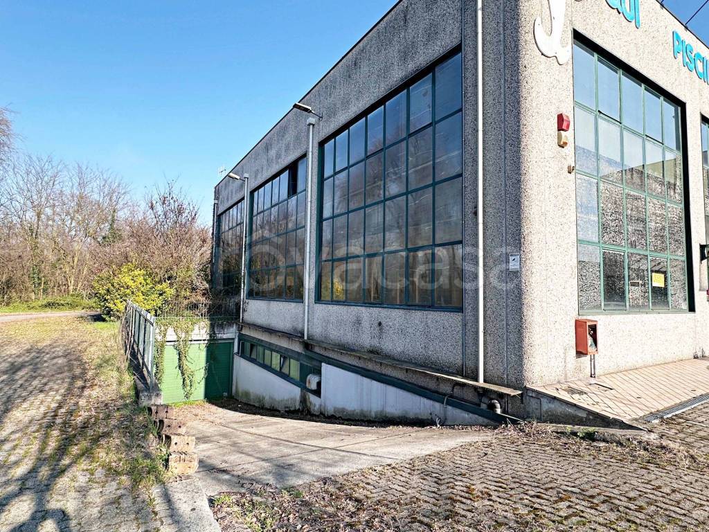 immagine annuncio 4 di 15