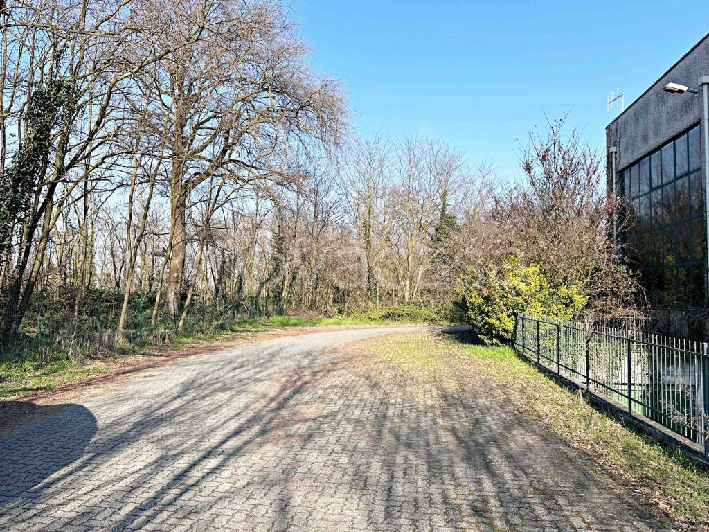 immagine annuncio 7 di 15