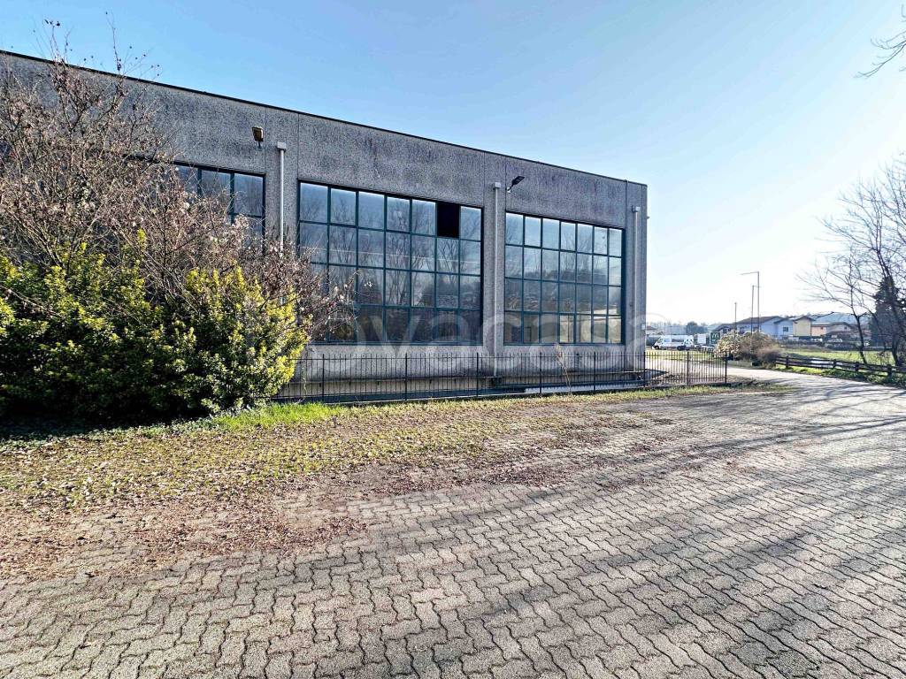 immagine annuncio 5 di 15