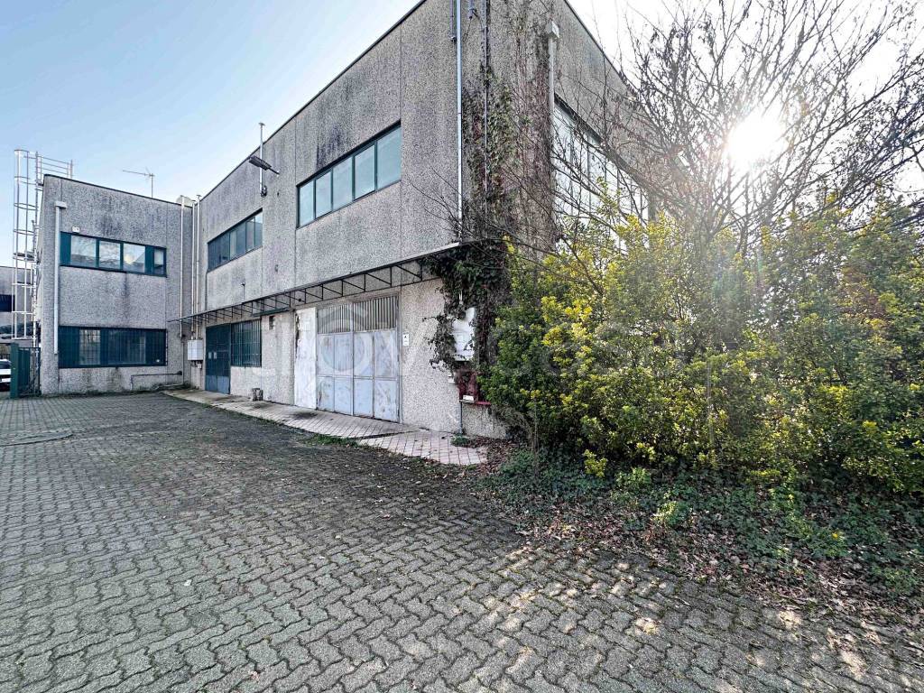 immagine annuncio 6 di 15