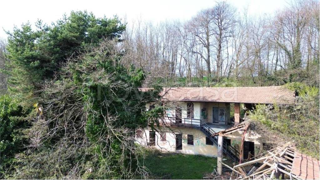 immagine annuncio 6 di 13