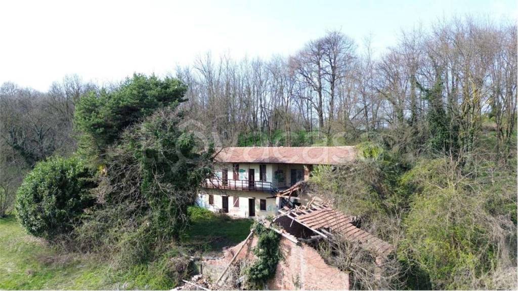 immagine annuncio 7 di 13