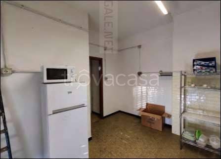 immagine annuncio 7 di 14