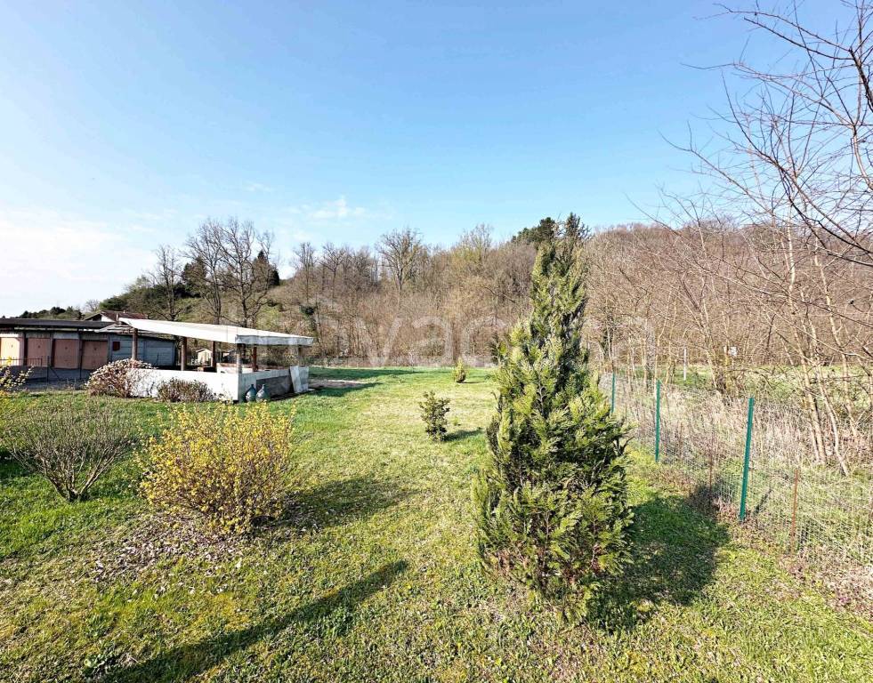 immagine annuncio 6 di 10