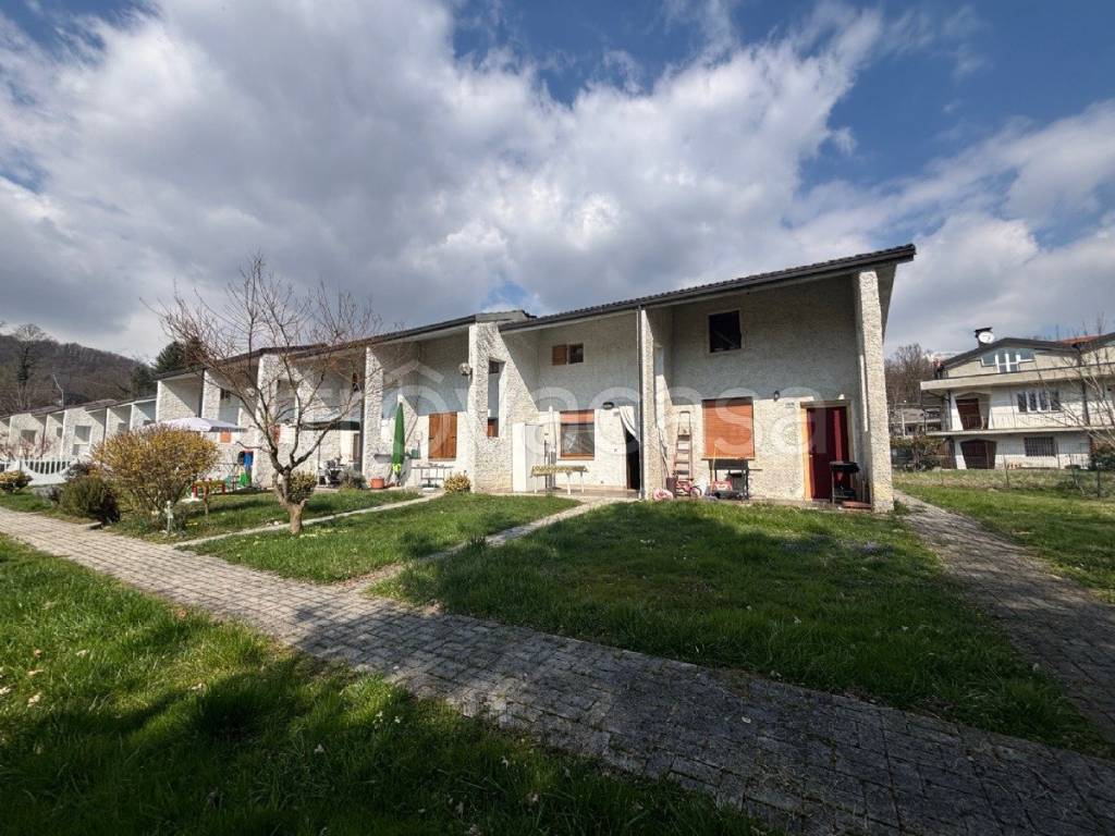 immagine annuncio 12 di 15