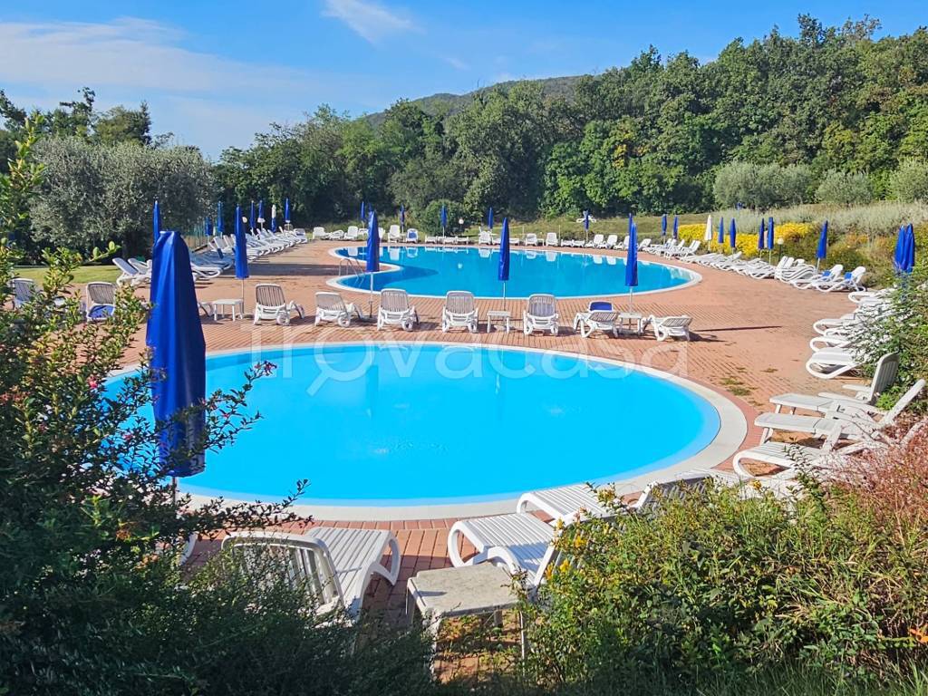 immagine annuncio 12 di 13