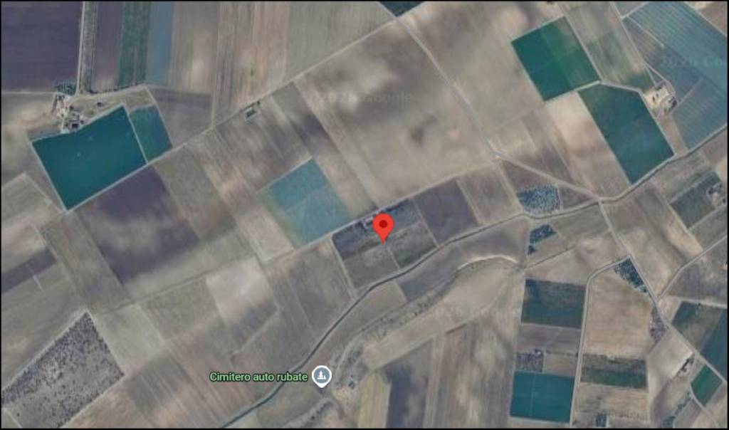 immagine annuncio 11 di 12